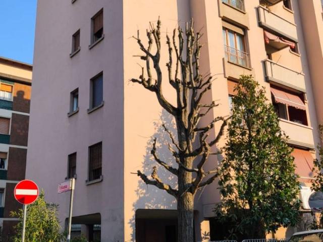 Appartamento in vendita a Bologna BO