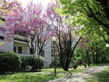Appartamento in vendita a Bologna BO