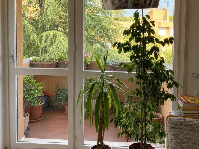 Appartamento in vendita a Bologna BO