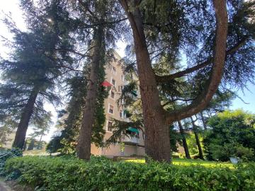 Appartamento in vendita a Bologna BO
