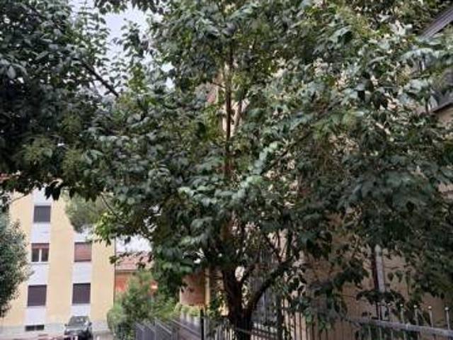 Appartamento in vendita a Bologna BO
