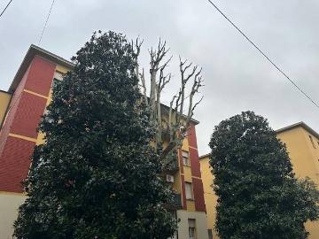 Appartamento in vendita a Bologna BO