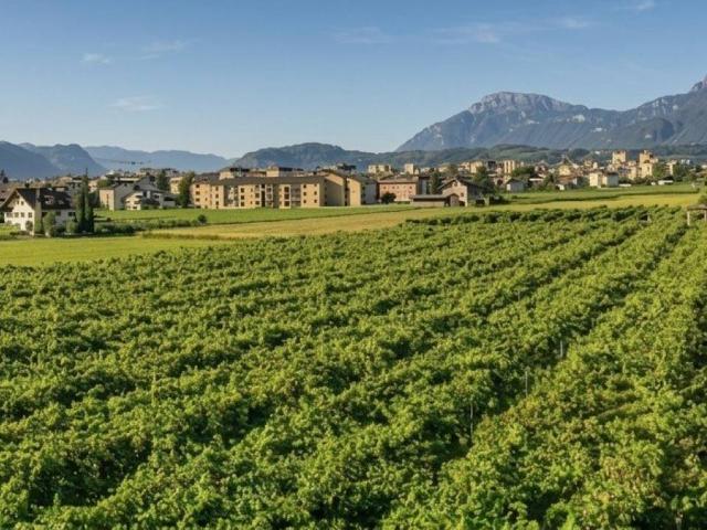 Appartamento in vendita a Bolzano BZ
