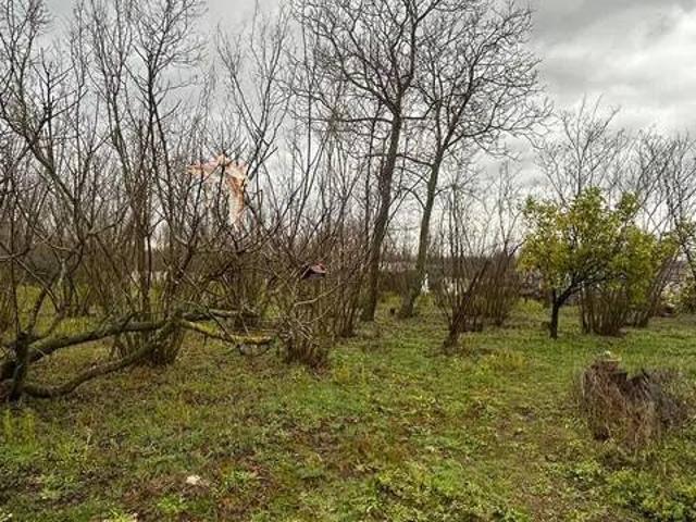 Appartamento in vendita a Boscoreale NA