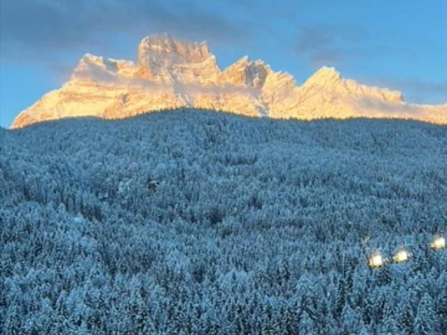 Appartamento in vendita a Borca di Cadore BL