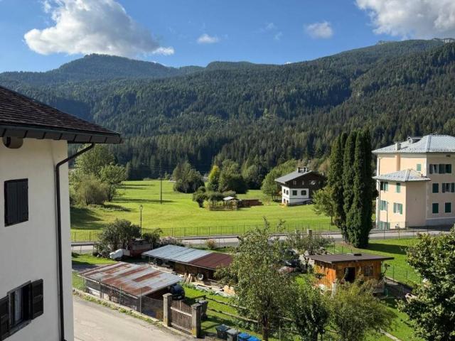 Appartamento in vendita a Borca di Cadore BL