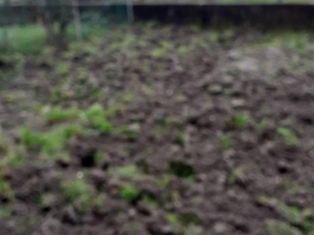 Appartamento in vendita a Borgo Mantovano MN