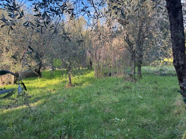 Appartamento in vendita a Borgo a Mozzano LU