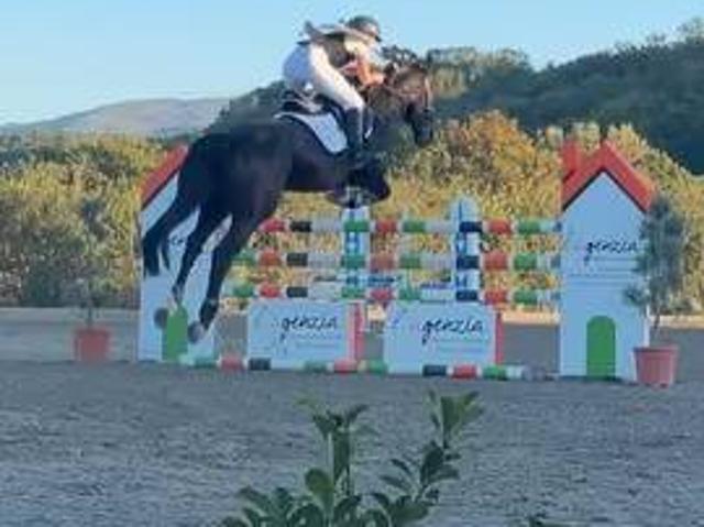 Appartamento in vendita a Borgo San Lorenzo FI