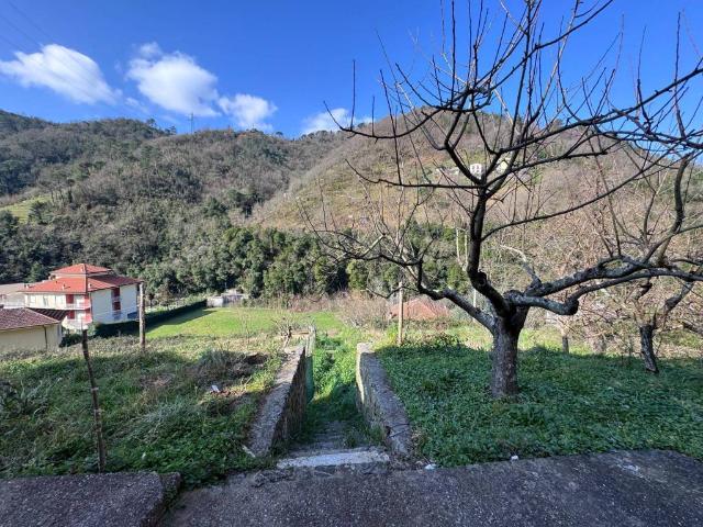 Appartamento in vendita a Borzonasca GE