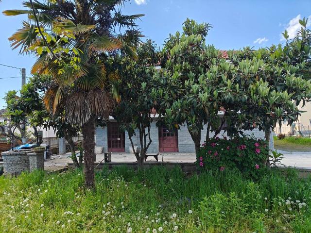 Villa in vendita a Bra CN