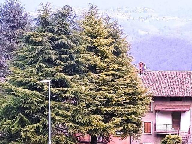 Appartamento in vendita a Bracca BG