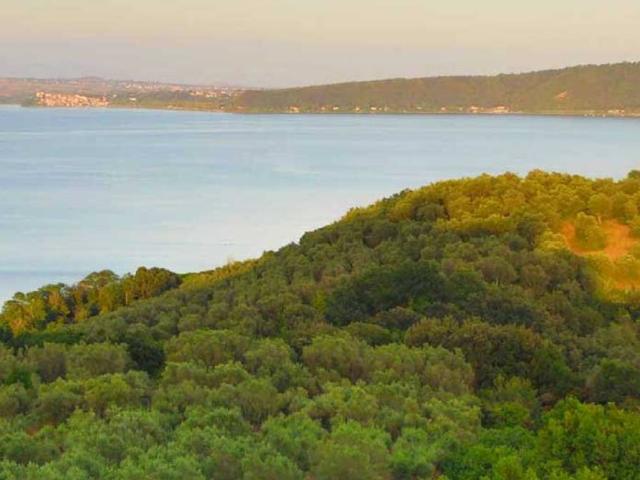 Appartamento in vendita a Bracciano RM