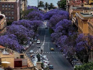 Appartamento in vendita a Cagliari CA