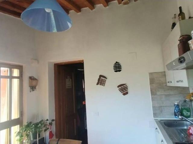 Appartamento in vendita a Calci PI