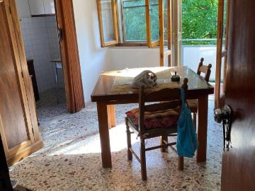 Appartamento in vendita a Calcinaia PI