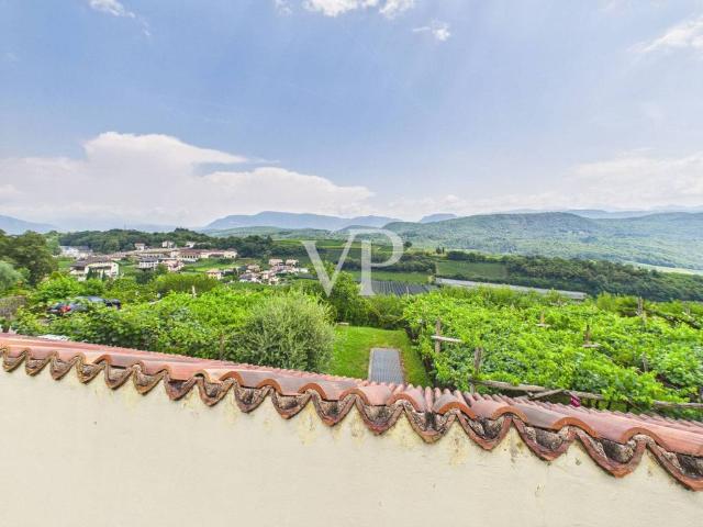 Appartamento in vendita a Caldaro sulla Strada del Vino BZ