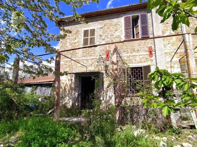 Appartamento in vendita a Calvi dell'Umbria TR