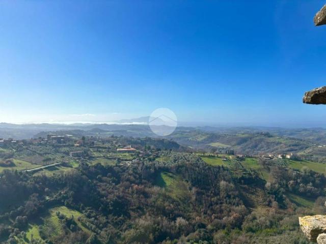 Appartamento in vendita a Calvi dell'Umbria TR