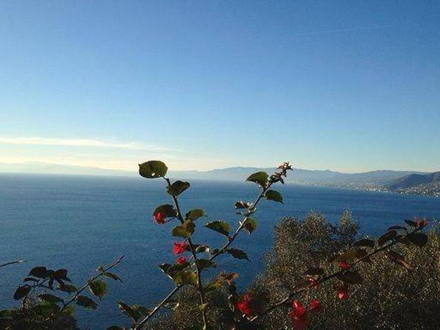 Appartamento in vendita a Camogli GE
