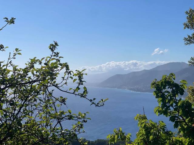 Appartamento in vendita a Camogli GE