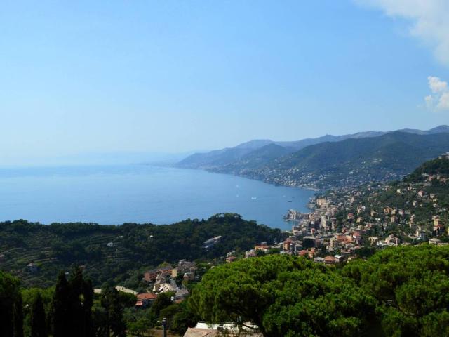 Appartamento in vendita a Camogli GE