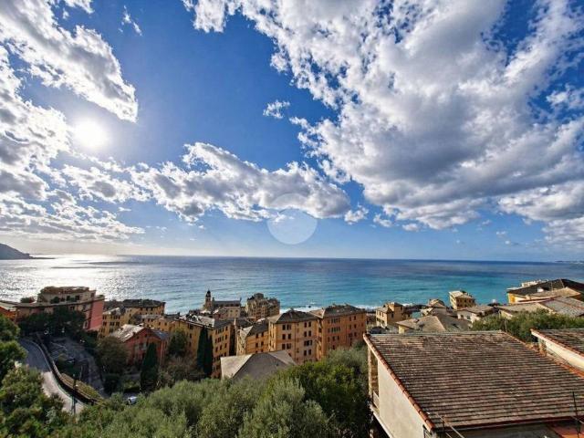 Appartamento in vendita a Camogli GE