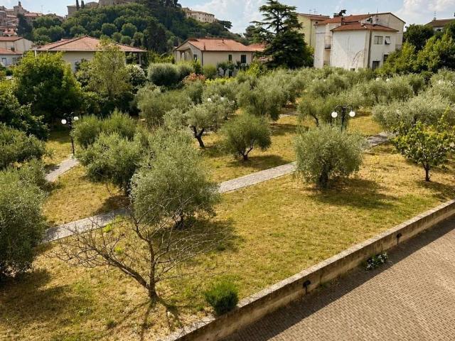 Appartamento in vendita a Campiglia Marittima LI