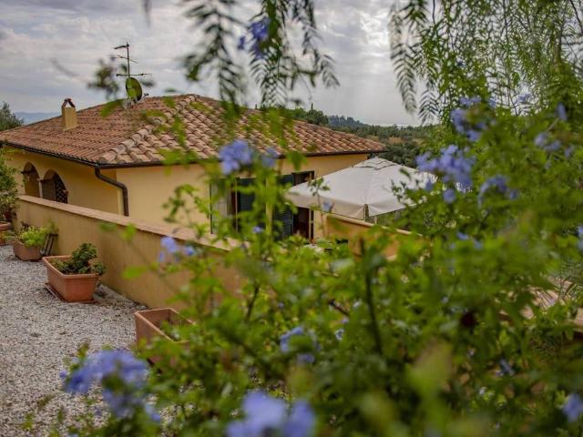 Appartamento in vendita a Campiglia Marittima LI