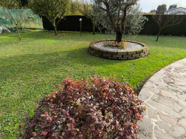 Appartamento in vendita a Camponogara VE
