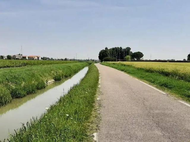 Appartamento in vendita a Camponogara VE