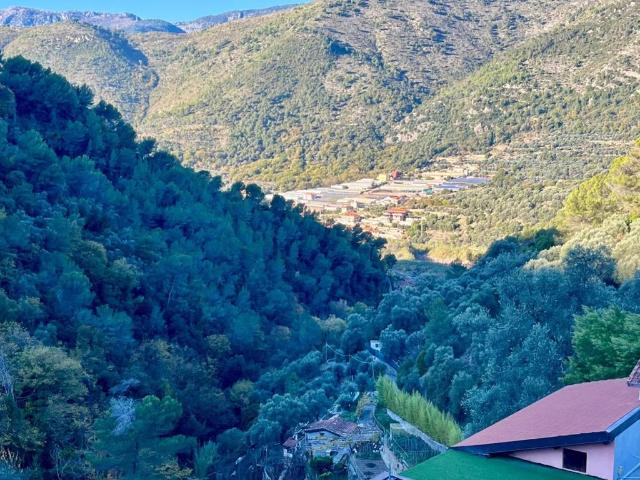 Appartamento in vendita a Camporosso IM