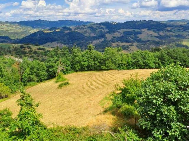 Appartamento in vendita a Canossa RE