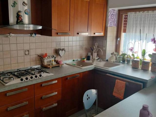 Appartamento in vendita a Canal San Bovo TN