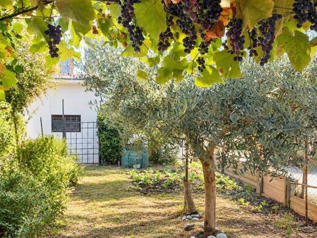 Appartamento in vendita a Casola Valsenio RA