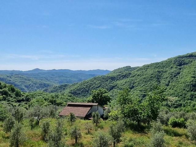 Appartamento in vendita a Casola in Lunigiana MS