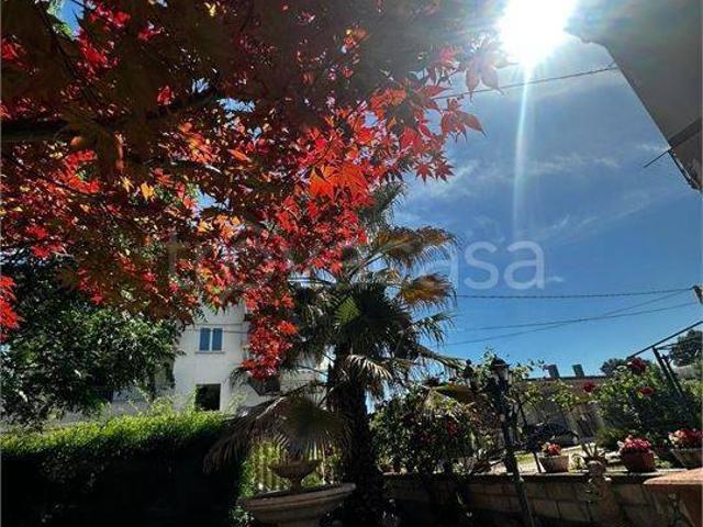 Appartamento in vendita a Casoli via selva piana 75