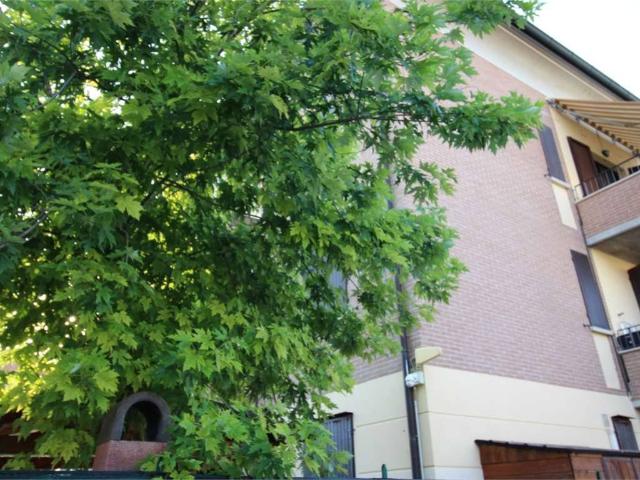 Appartamento in vendita a Casalgrande RE