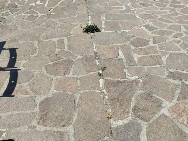 Appartamento in vendita a Cascina PI