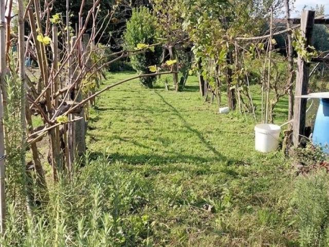 Appartamento in vendita a Cascina PI
