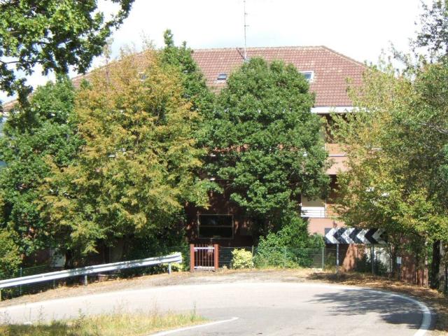 Appartamento in vendita a Casina RE