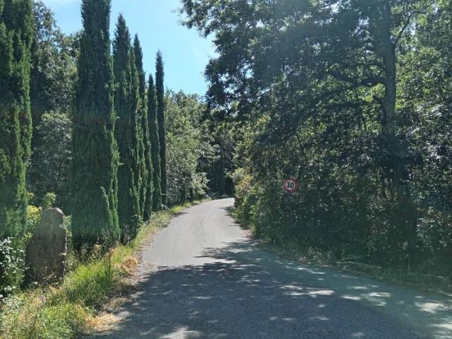 Appartamento in vendita a Castagneto Carducci LI