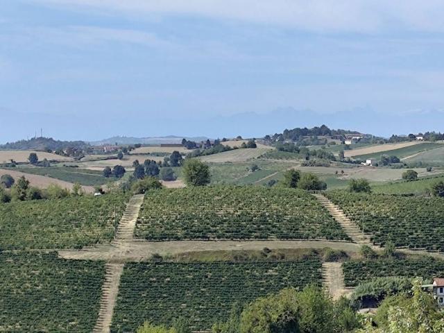 Appartamento in vendita a Castagnole Monferrato AT