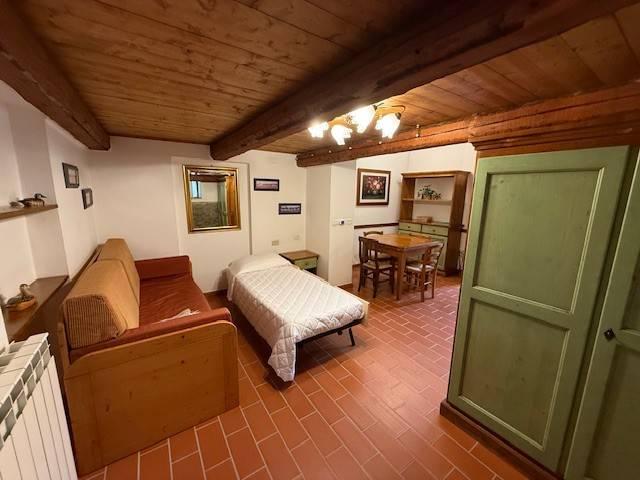 Appartamento in vendita a Castel del Piano GR