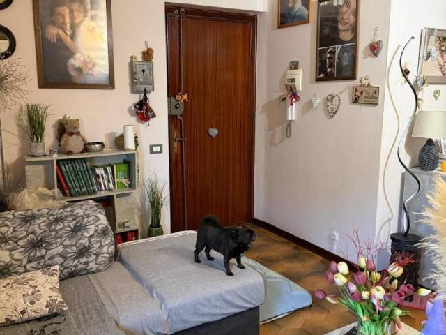 Appartamento in vendita a Castelnuovo Magra SP