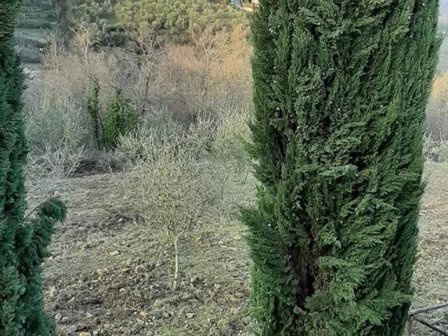 Appartamento in vendita a Castelnuovo Berardenga SI