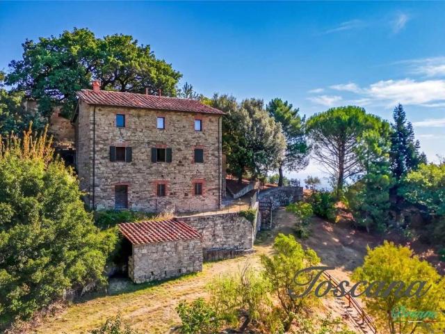 Appartamento in vendita a Castelnuovo di Val di Cecina PI