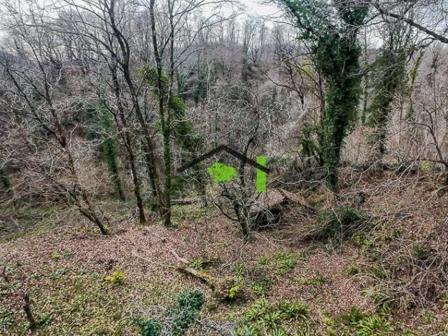 Appartamento in vendita a Castelnovo del Friuli PN