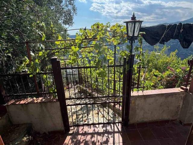 Appartamento in vendita a Castellaro IM