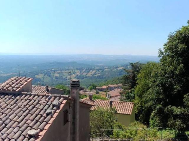 Appartamento in vendita a Castell'Azzara GR